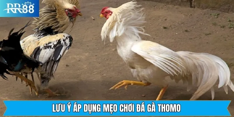 Một vài điều nên chú ý khi áp dụng các chiến lược chọi kê 